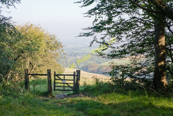 Photo 6"x4" Bridleway and gate on the northern edge of Brighstone Forest Calbourne c2007