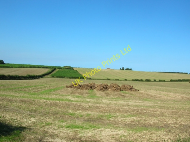 Photo 6"x4" Manure Heap Copy's Green c2007