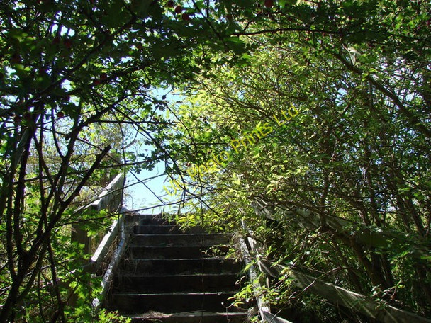Photo 6"x4" Steps  from Bridleway up to path through old quarry workings. Stapleton\/SE5119 c2007