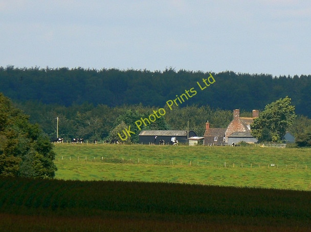 Photo 6"x4" Timbridge Farm, near Marlborough The Warren\/SU2465 c2007