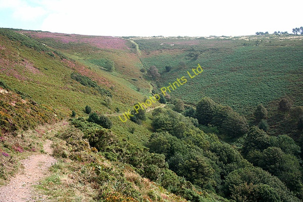 Photo 6"x4" Selworthy: above Lynch Combe Allerford\/SS9047 c2007