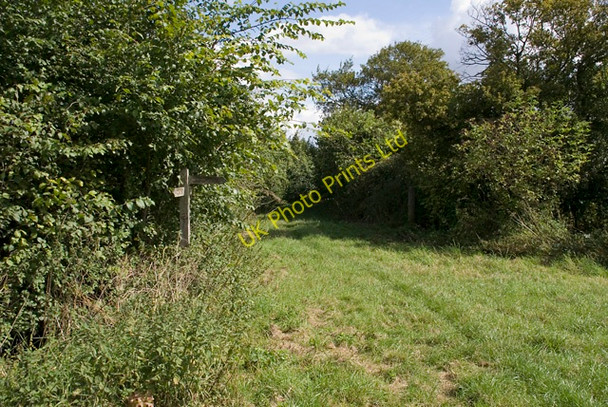 Photo 6"x4" Bridleway leading to Cox Lane Kettle Green c2007