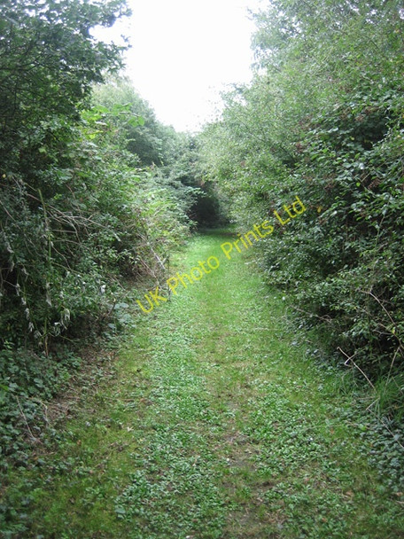 Photo 6"x4" Well-sheltered footpath at Wilby Green Stanway Green\/TM2470 c2007