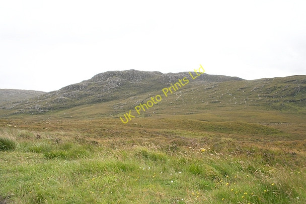 Photo 6"x4" Abhainn Droma Valley Braemore Forest c2007