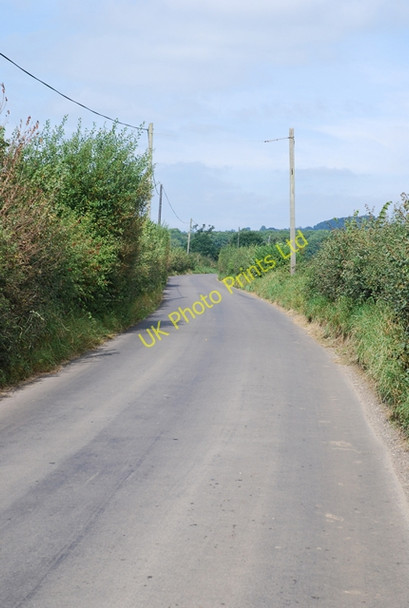 Photo 6"x4" Road to Fifehead Magdalen Hains c2007