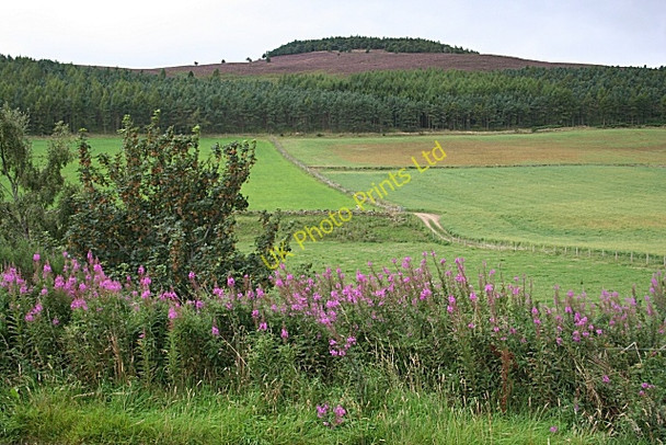 Photo 6"x4" Lord Arthur's Seat Tullynessle c2007