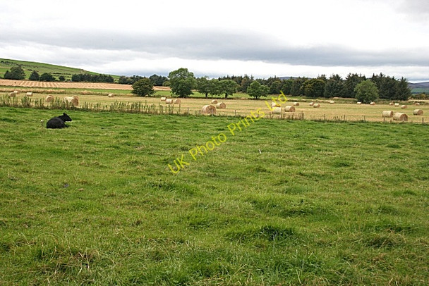 Photo 6"x4" Mains of Tonley Kirkton of Tough c2007 P3