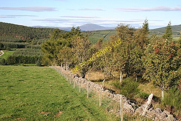 Photo 6"x4" Corse Hill Perkhill c2007