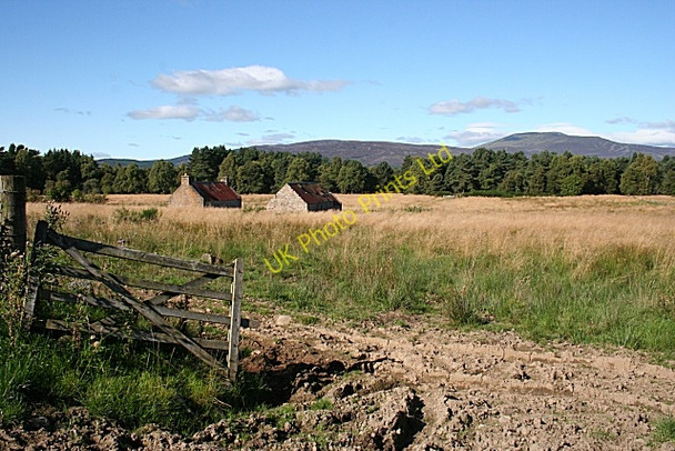 Photo 6"x4" Newton of Mulloch Ordie\/NJ4501 c2007 P1