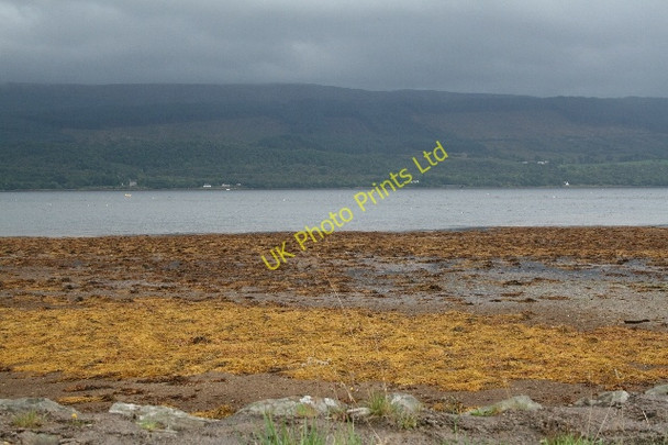 Photo 6"x4" Looking Across Loch Shira. Inveraray c2007