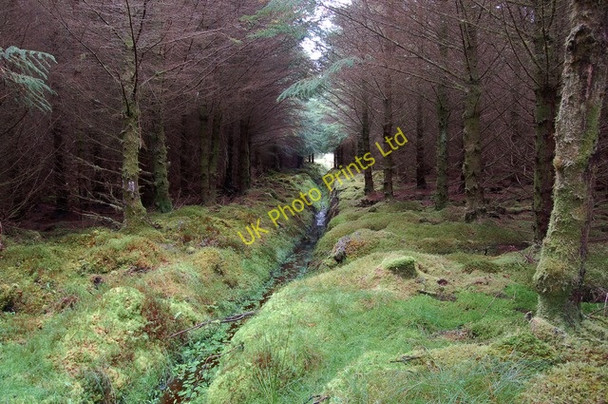 Photo 6"x4" Drainage ditch in Tote Forest Lealt\/NG5060 c2007