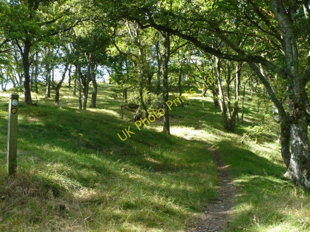 Photo 6"x4" Wye Valley Walk Nantserth c2007