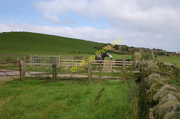 Photo 6"x4" Stile onto farm track Tockholes c2007