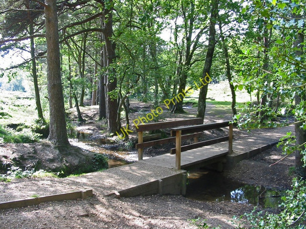 Photo 6"x4" Bridge near Holmsley inclosure, New Forest. Thorney Hill\/SZ2099 c2007