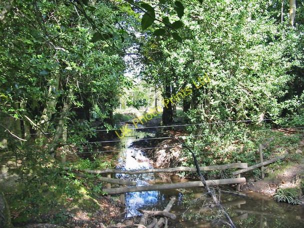 Photo 6"x4" Stream, Holmsley Inclosure, New Forest. Thorney Hill\/SZ2099 c2007