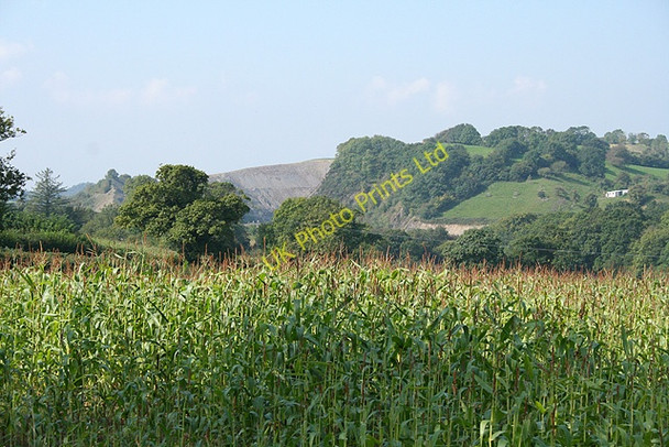 Photo 6"x4" Landkey: towards Venn Quarry Landkey c2007