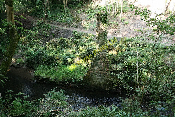 Photo 6"x4" Landkey: ruin by Venn Quarry Landkey c2007