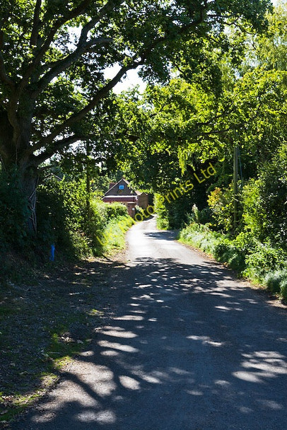 Photo 6"x4" Roman Road, nr Wintershill Wintershill c2007