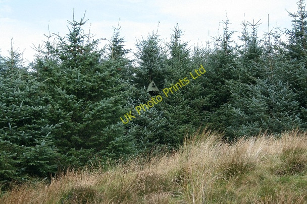 Photo 6"x4" Birdbox in Lochorodale (1). Drumlemble c2007