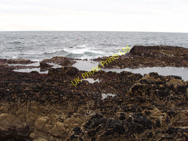 Photo 6"x4" Rocks below high water mark, near Rosehearty Rosehearty c2007