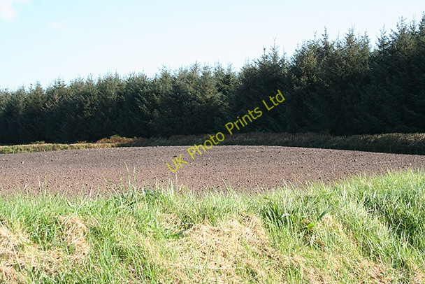 Photo 6"x4" Treneglos: site of a tumulus Hallworthy c2007
