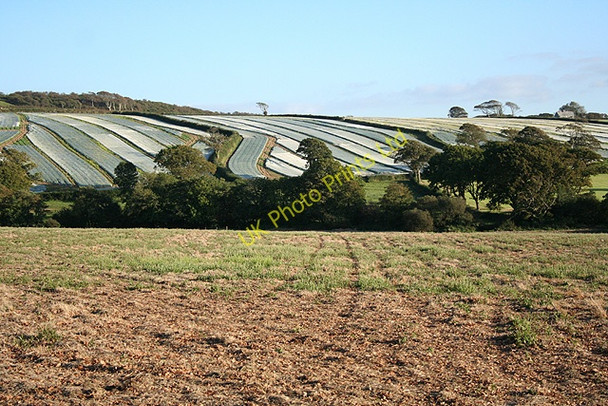 Photo 6"x4" Egloskerry: towards Tregearedown Trebeath c2007