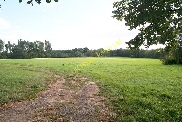 Photo 6"x4" Pasture near Acorns Farm Fernhill Heath c2007