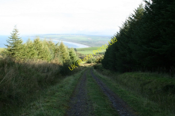 Photo 6"x4" Track in Killypole Forest. Machrihanish c2007