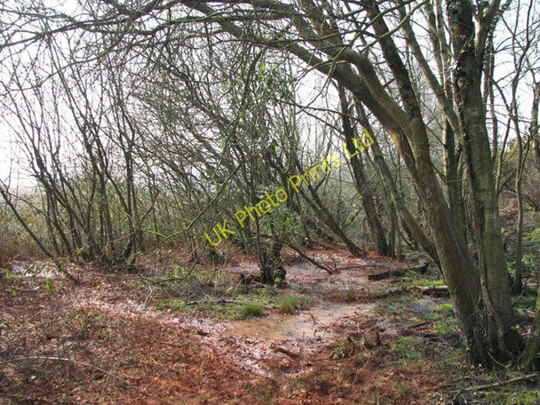 Photo 6"x4" Crymlyn Bog Bon-y-maen c2007