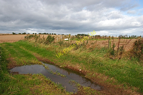 Photo 6"x4" Meikle Camaloun Inverythan c2007 P1