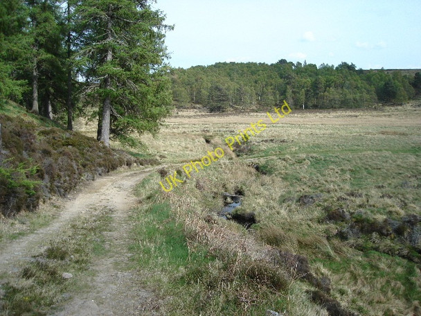 Photo 6"x4" Track down to the river Hill of Slackmore c2007