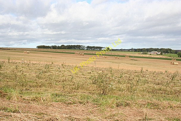 Photo 6"x4" Towie Turner Inverythan c2007