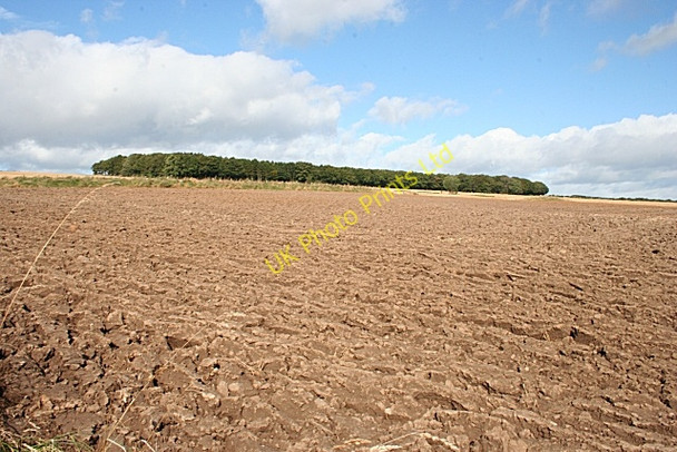 Photo 6"x4" Steinman Hill Inverythan c2007