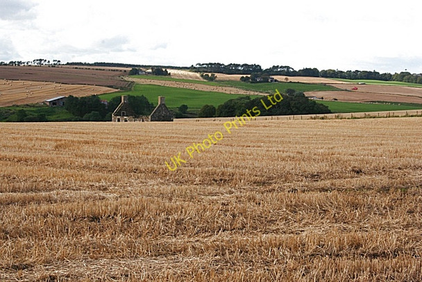 Photo 6"x4" Little Gourdas Inverythan c2007 P1