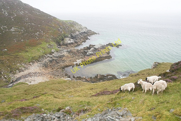 Photo 6"x4" Bun Abhainn na Cloich Bail' Ur Tholastaidh c2007