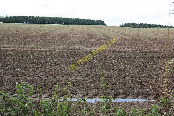 Photo 6"x4" North Blachrie Inverythan c2007