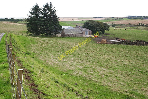 Photo 6"x4" South Camalynes Inverythan c2007