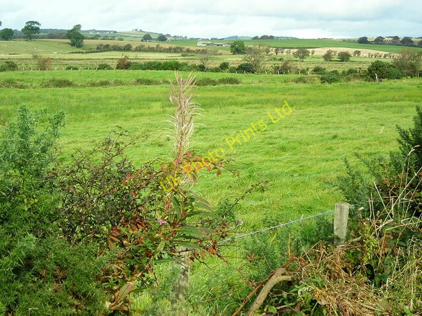 Photo 6"x4" Fields Around Hardgrove Burn Ruthwell Station c2007