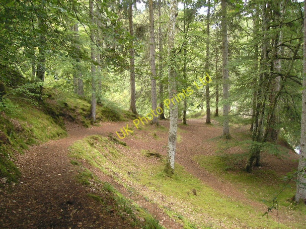 Photo 6"x4" The Path to Randolph's Leap Relugas c2007