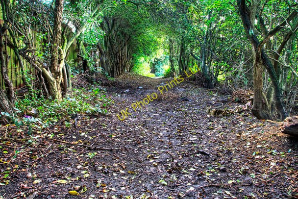 Photo 6"x4" Footpath leading to lake Ossett c2007
