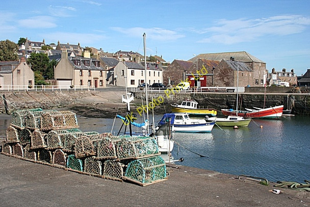 Photo 6"x4" Gourdon Harbour Inverbervie c2007