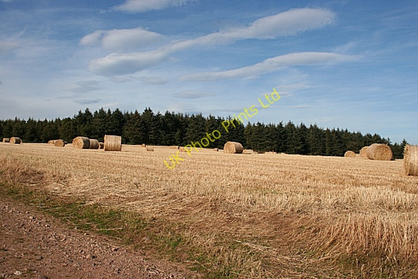Photo 6"x4" Hill of Seabeg Kirktown of Fetteresso c2007
