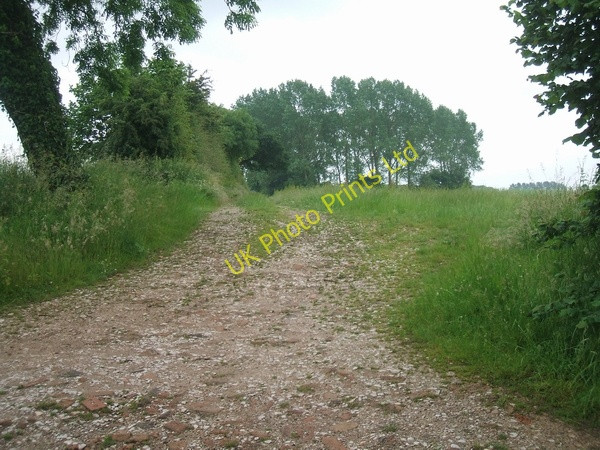 Photo 6"x4" Permissive Bridleway to Shredicote Apeton c2007