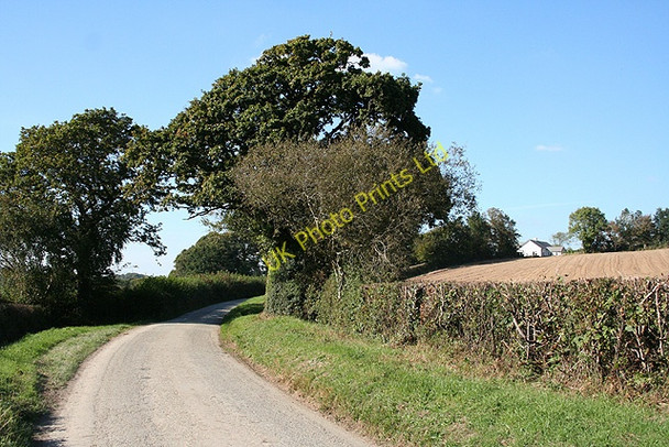 Photo 6"x4" St Stephens by Launceston: approaching Cargentle Langore c2007