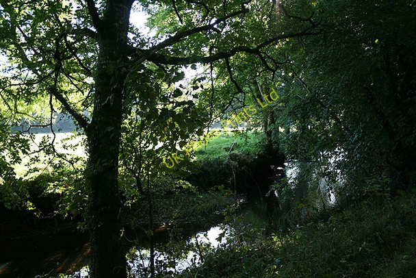 Photo 6"x4" North Petherwin: river Ottery North Petherwin c2007