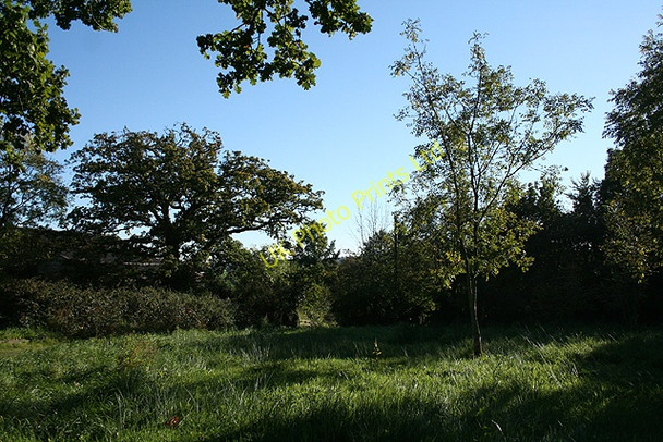 Photo 6"x4" North Petherwin: Penrose Green Billacott c2007