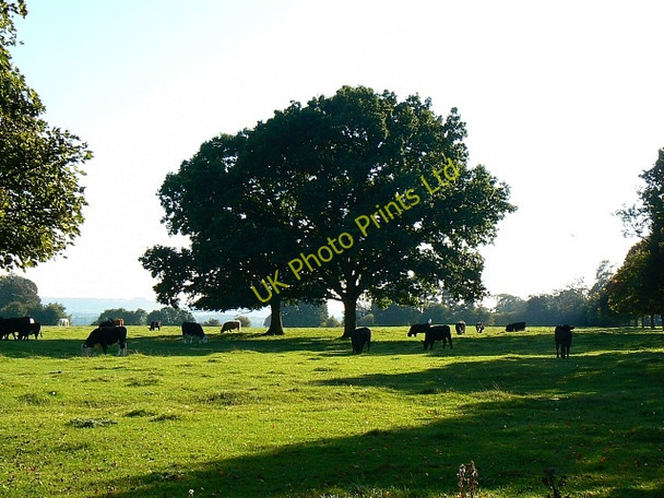 Photo 6"x4" Hungerford Common, Hungerford Hungerford\/SU3368 c2007