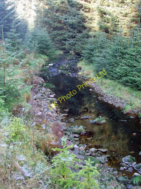 Photo 6"x4" Lewis Burn Lewis Burn\/NY5986 c2007