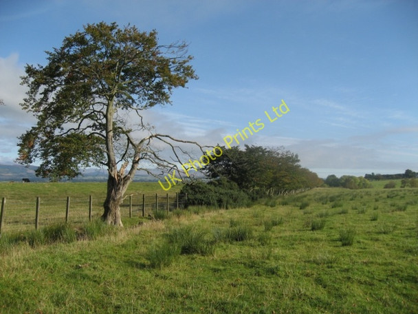 Photo 6"x4" Field edge Buchlyvie c2007