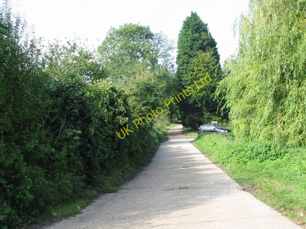Photo 6"x4" View along farm road near Farthingate, Eastry Buttsole c2007